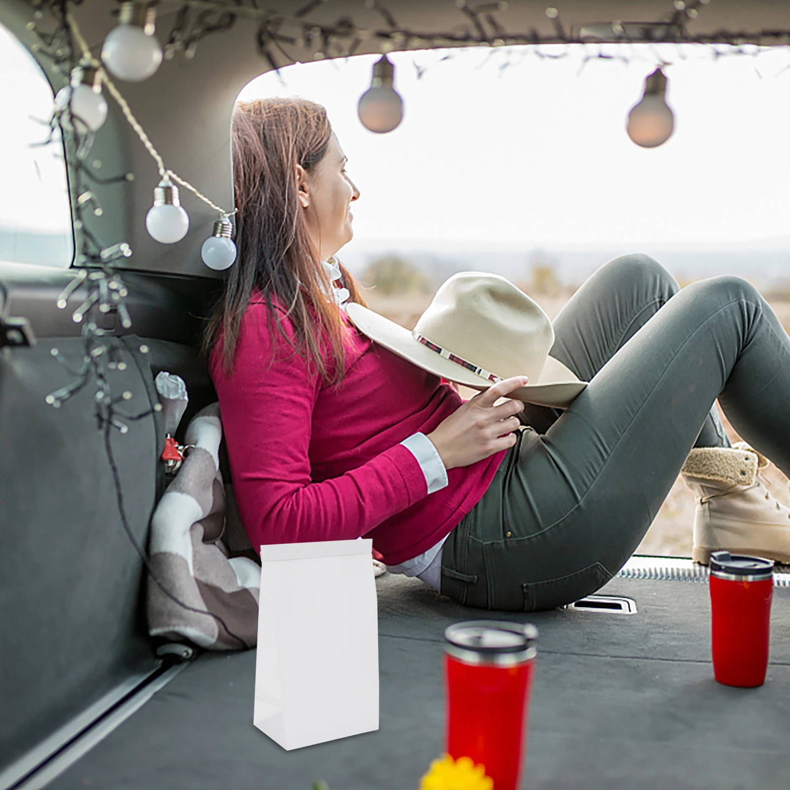 

25Pcs Disposable Vomit Bags Travel Sickness Barf Bags Eco-Friendly Sealed Tab Small Lightweight for Car Pregnant Women