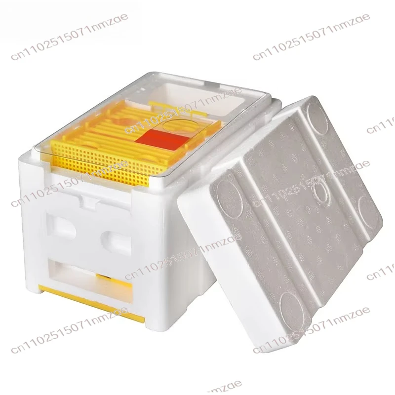 Beekeeping Supplies Queen Bee Mating Hive Box Essential Accessory for Apiary Bee Colony Expansion