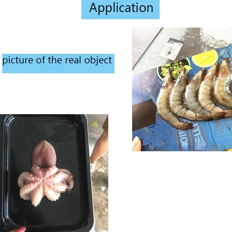 Fresh Meat Thermoform Vacuum Packing Machine Vacuum Skin Packing Machine for Seafood Fish Meat Steak
