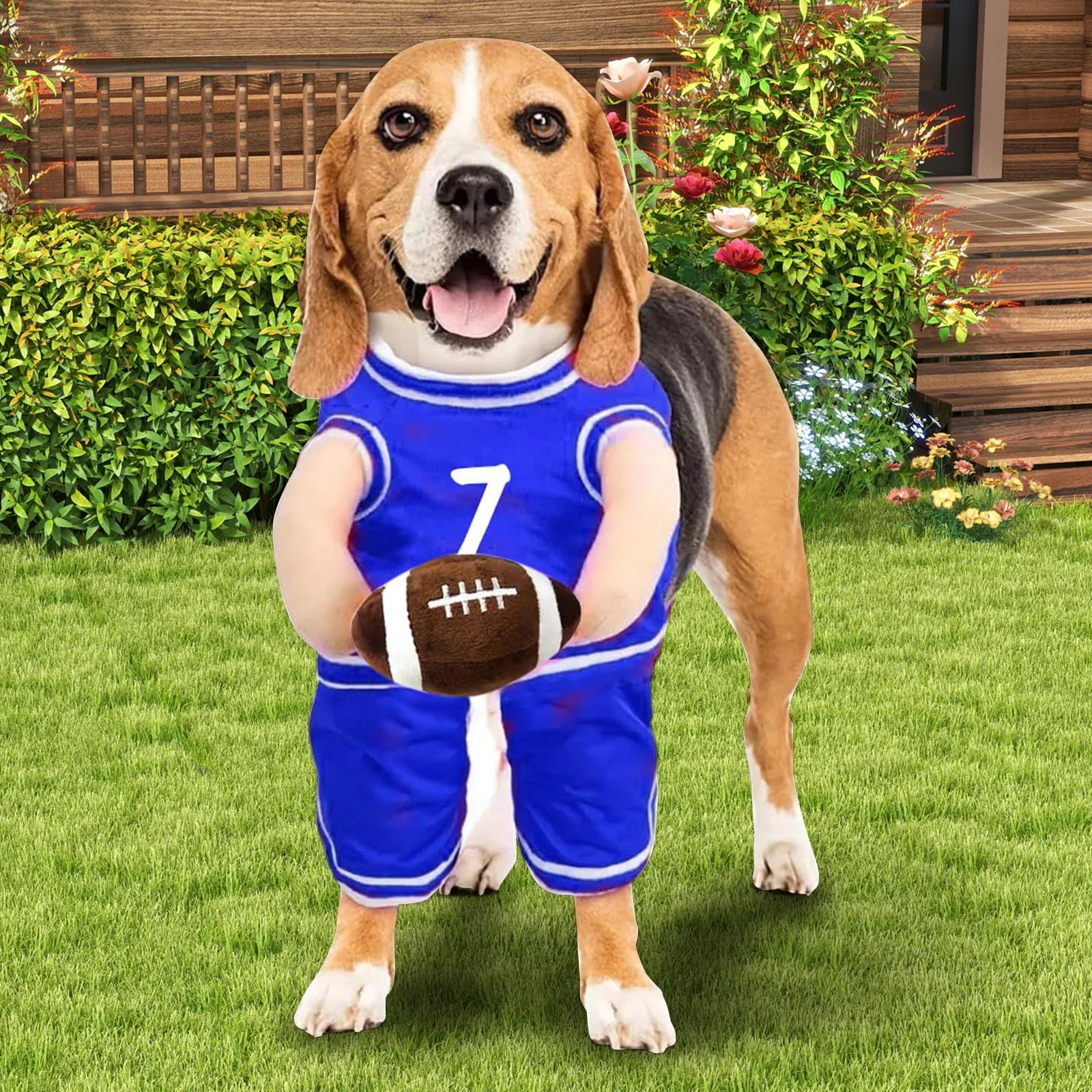 Hondenkostuum met basketbal Rugbybal Huisdier Cosplay Outfit Aankleden Sport Ademend huisdierkostuum Huisdierkostuum voor kleine grote honden