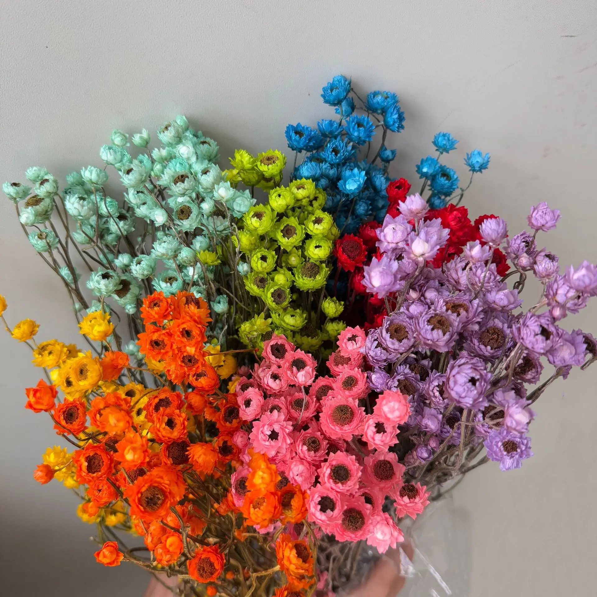 

Dried Baby's Breath Flowers Bouquet chrysanthemum Branches for Wedding Arch Flowers Decoration, Natural White Dry Flowers Bulk,