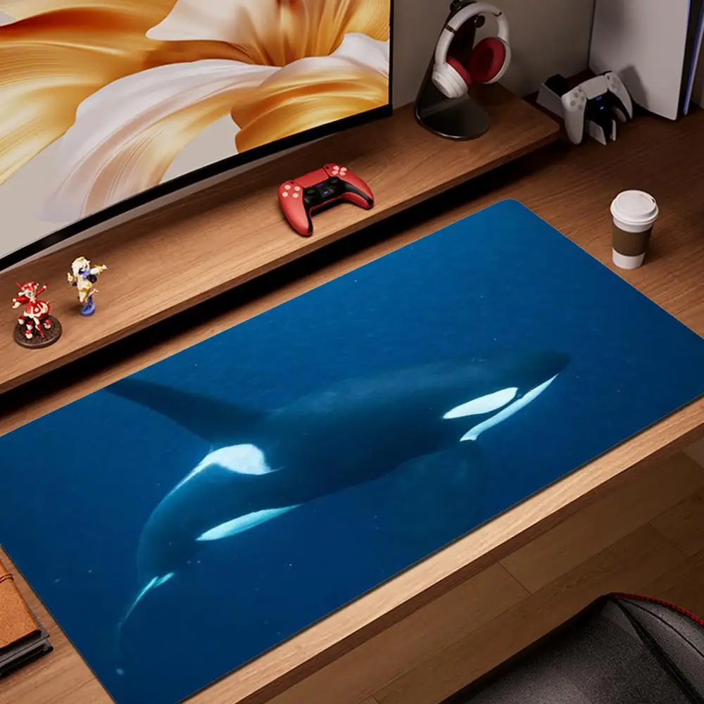 

Killer whale Mouse Pad asdjasodasdasd