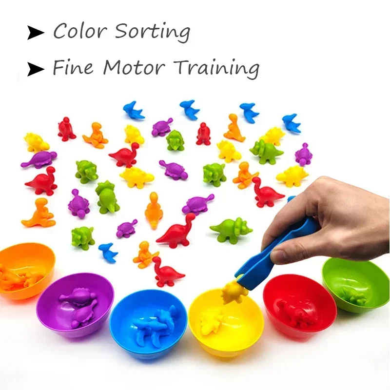 Montessori Material Rainbow Counting Bear Math Toys Animal Dinosaur Color Sorting Matching Game Children Educational Sensory Toy