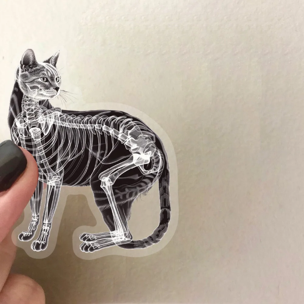 50PCS Black and White X-ray Skeleton Transparent Stickers Exquisite DIY Toys Secret for Scrapbook Travel Bag Aesthetic Decals