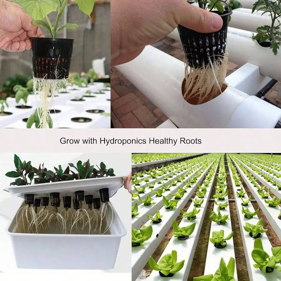 4インチのメッシュカップポット15個パック、15フィートの自動給水コードと15個の植物タグ付き