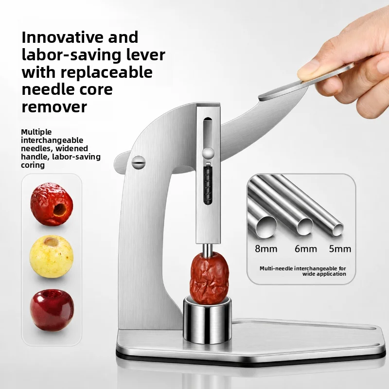 Stainless Steel Adjustable Interchangeable Needle Pitter Corer for Red Dates Longan Olive Cherry Fruit Seed Remover Tool