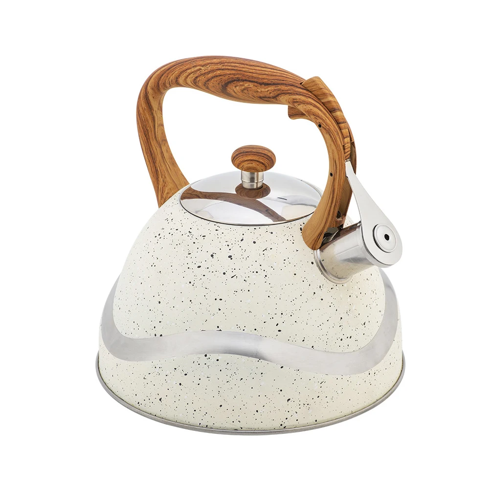 

1pc Stainless Steel Whistle Kettle Large Capacity Household Water Pot Insulated Handle Heat Resistant for Gas Stove