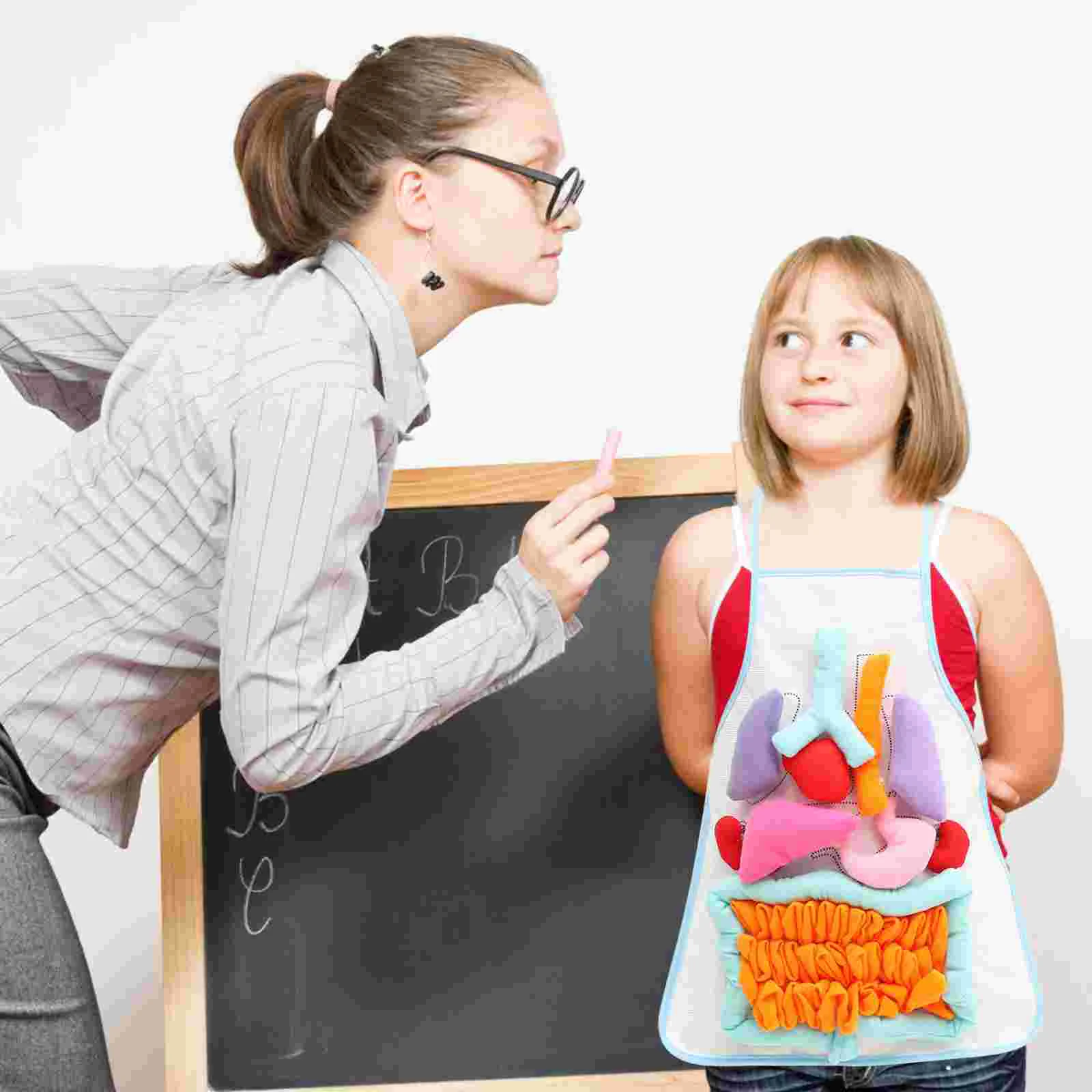 Educational Apron for Kids Childhood Teaching Aids Children Learning Internal Organs Model Body Parts Removable