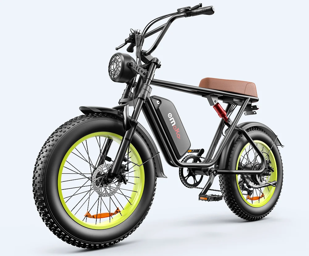 

STLF DZ WJW Advanced Linksports Factory Dropshipping European Warehouse Fatbike Electric Mountain Bike Bicycle Fat Tire City 100