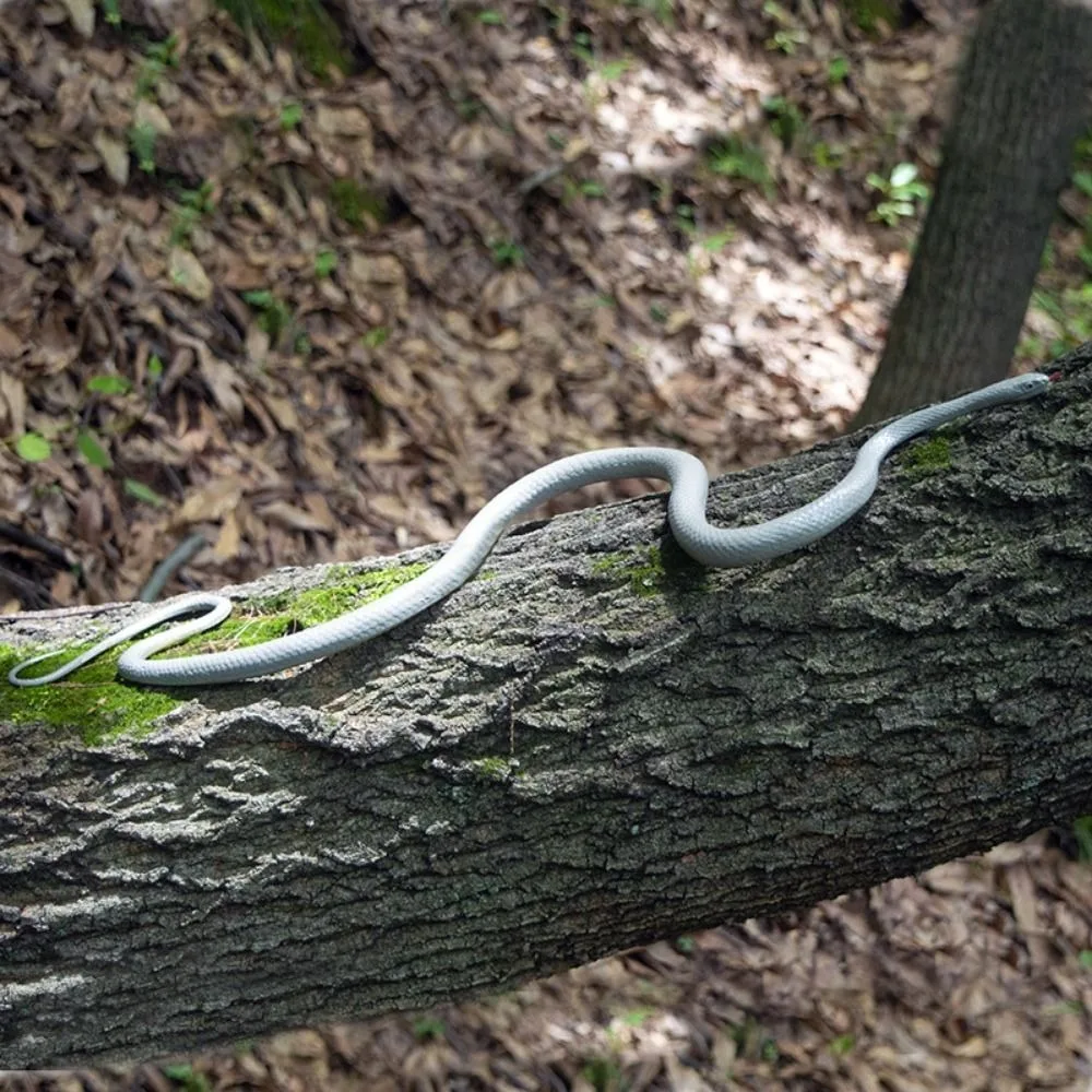 Practical Jokes Realistic Simulation Snake Soft Lifelike Model Prank Snake with String Clip S-Shaped Fake Snake Home Ornament
