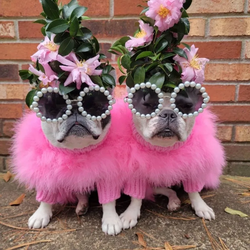 

Dog Sweater Pet Clothes Warm Luxury Autumn Winter Pet Clothes Ins Style Dog Designer Clothes dog clothes dog costume