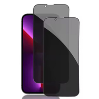 Privacy Screen Protector For iPhone17 16 15 14 13 12 11 X XS XR Pro Max Anti-spy Tempered Glass For Apple 16 15 Plus Phone Film