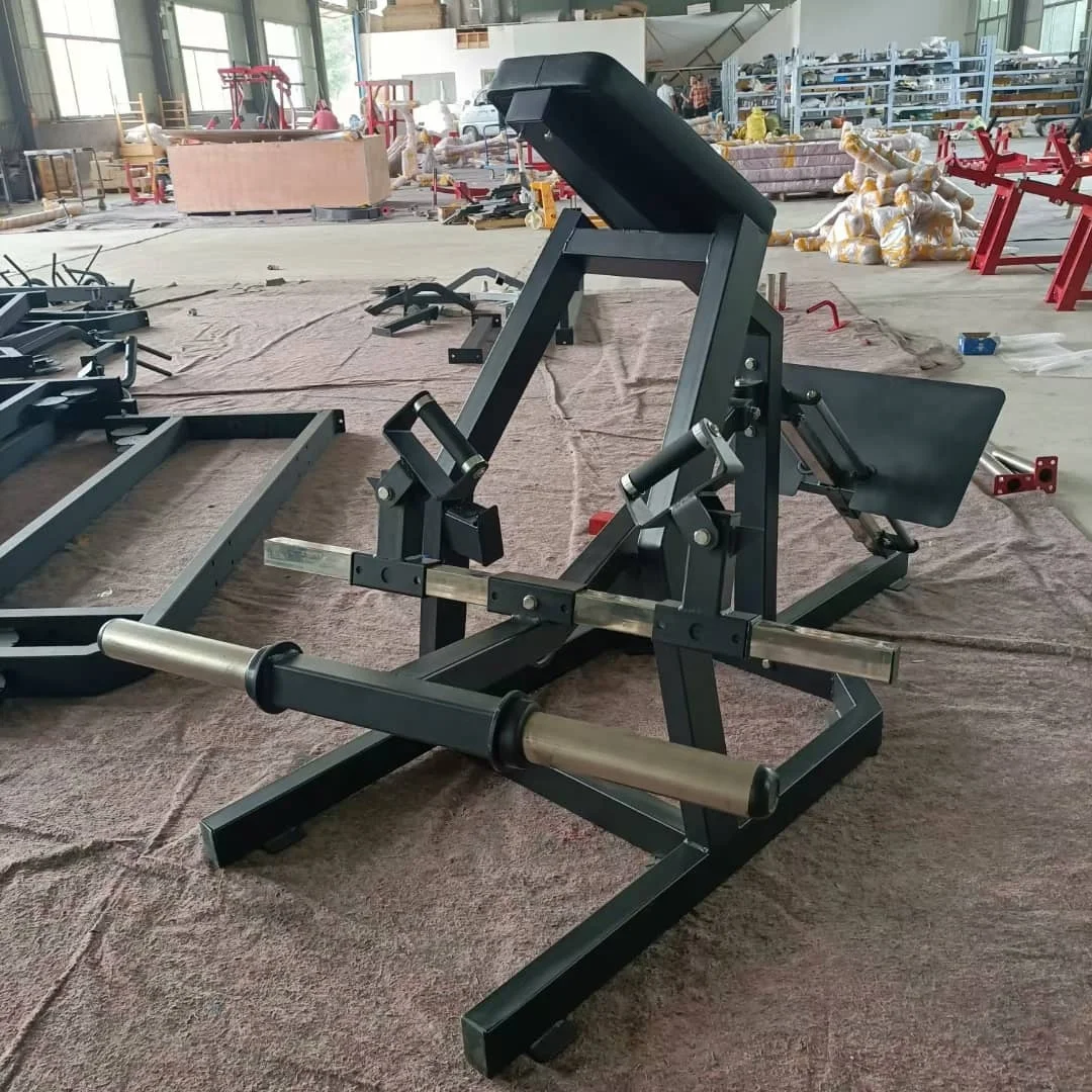Factory Supply Commercial Gym Equipment Incline Level Row with CE Certificate