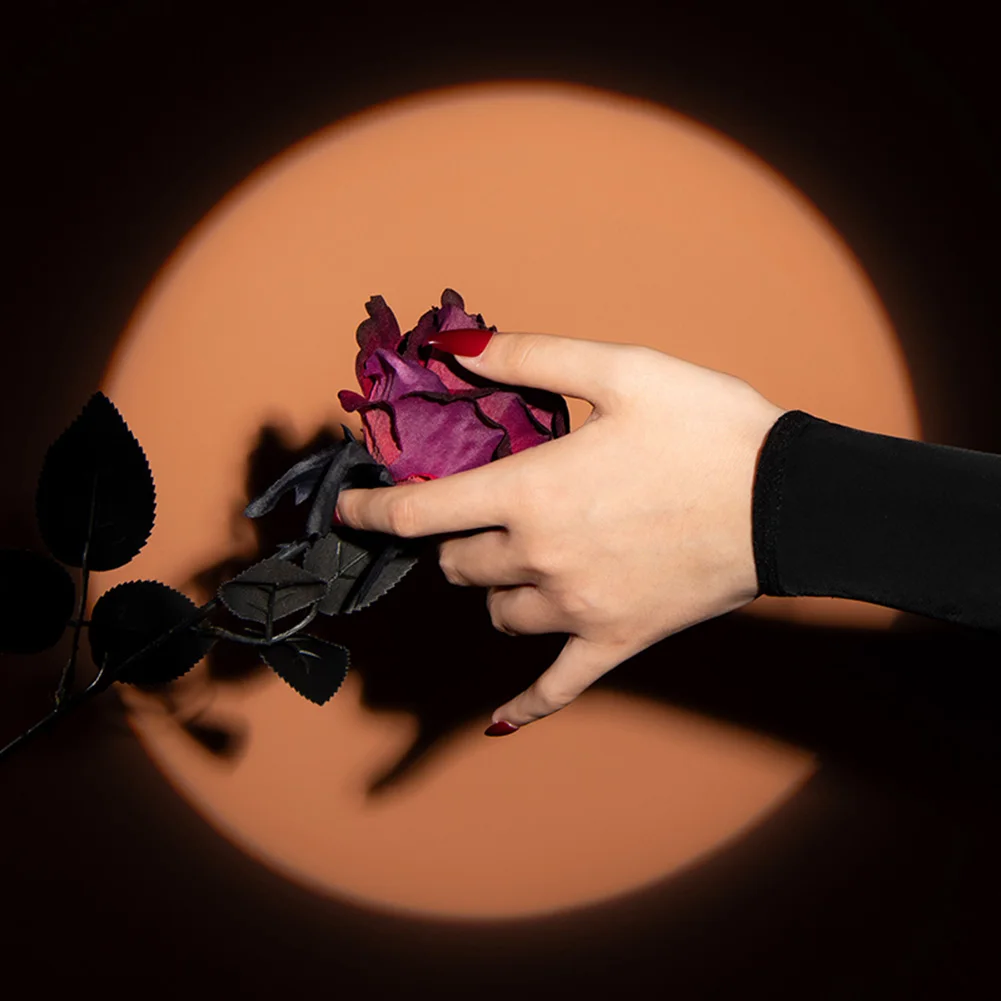 

Sheer Bodysuit Seamless Tights Vacation Spring Wear Summer Wear Winter Wear Autumn Wear Brand New Nylon Fabric