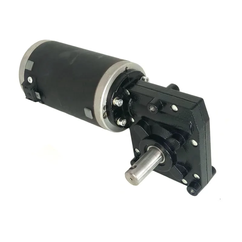 

Dc Motor Worm 100Rpm 50Rpm 48V 500W 24V 1/2 Permanet Magnet 12V Dc Gear Motor