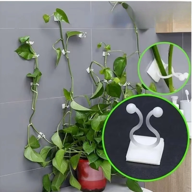 10Pc/set Invisible Wall Vines Fixture Wall Sticky Hook Self Adhesive Vines Fixing Clip Vines Holder Garden Home Supports
