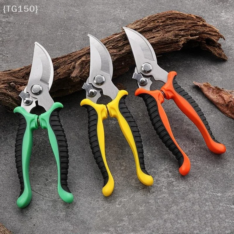 Ciseaux horticoles multifoncti - Pruning Shears avis et prix