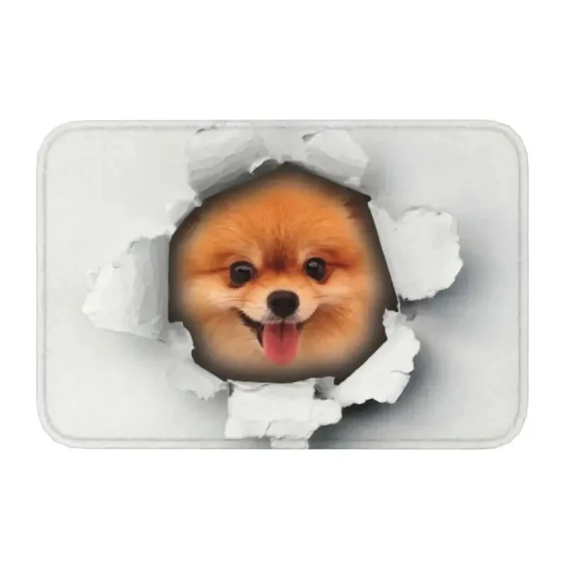 Cute Puppy Entrance Doormat Pomeranian Pattern Rug Living Room Bedroom Kitchen Anti Slip Carpet Home Decoration