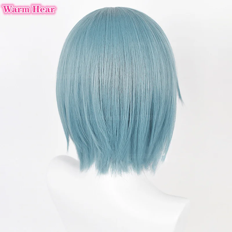 Ata ki Sayaka Anime Cosplay Perruques de Cheveux, Bleu, Gris, Degré de Chaleur, ixd\'Halloween, Bonnet de Perruque, 30cm