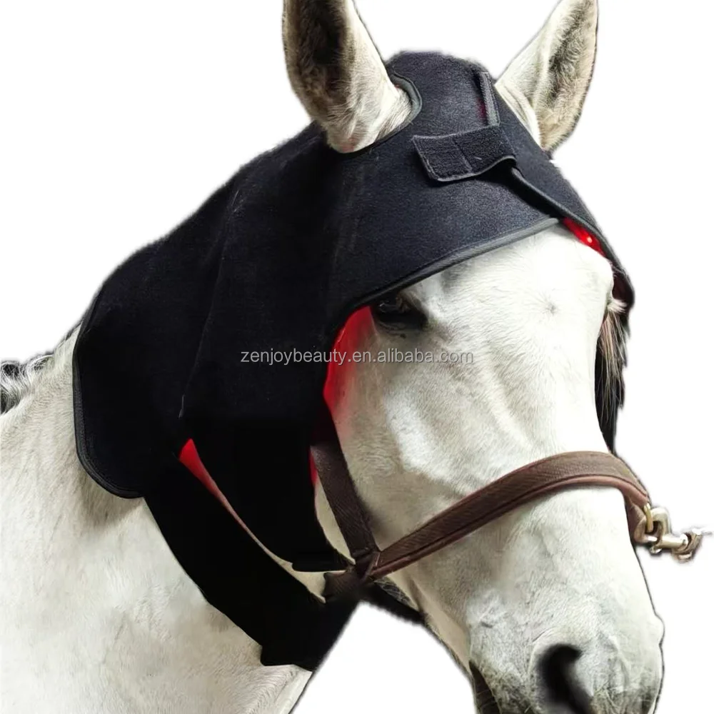 2025 Original de fábrica avanzada de pulso mantas de caballo rojo 660nm 850nm terapia equina mejor terapia de luz roja caballo