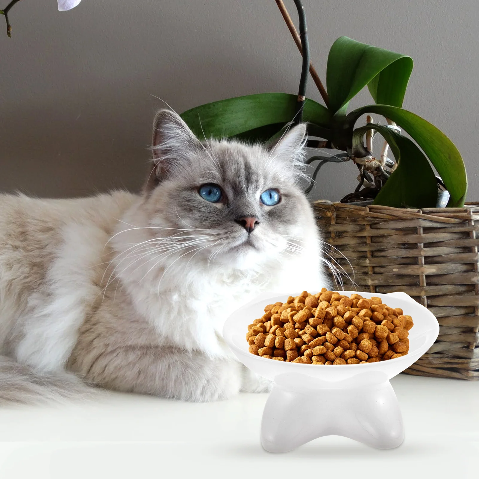 

Ceramic Cat Bowl Anti-Upset Stable Non-Slip Base Pet Feeding Bowls Sloping Design Water Holder Easy Food