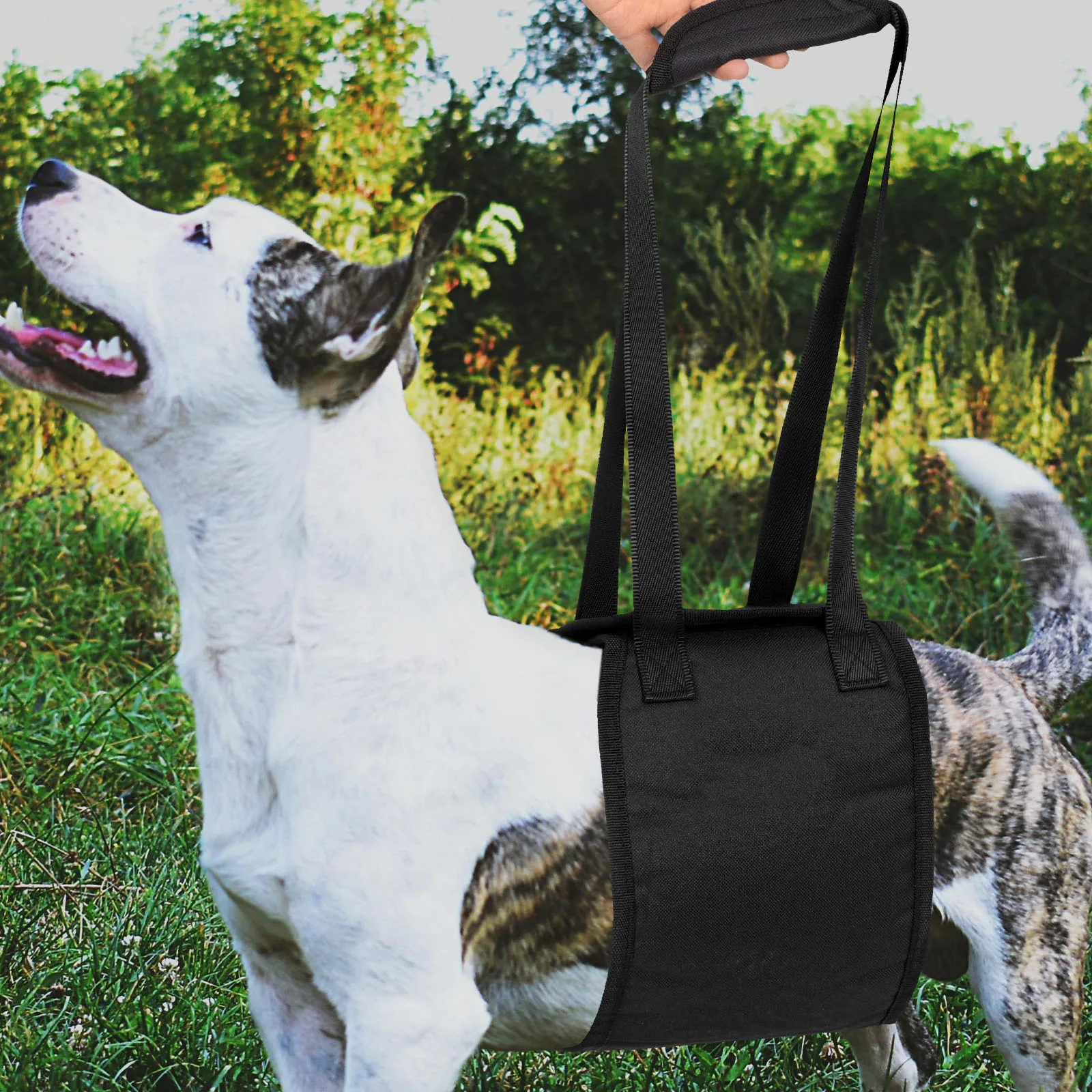 

Pet Auxiliary Belt Dog Assist Sling Lift Support Rehabilitation Harness Suspenders Elderly
