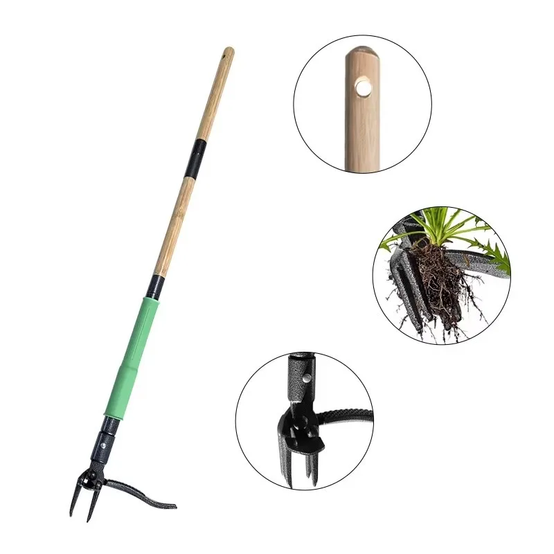 Lightweight Wooden Handle Carbon Steel Head Stand-Up Weed Puller Tool for Garden, No Bending Weeding Tool