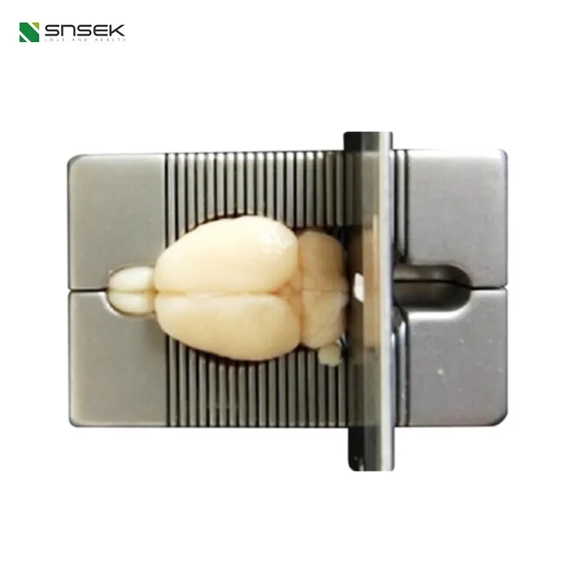 Universe Grocery Store Mice, Spinal Cord, Brain, Heart, Stainless Steel Slicing Mold, Acrylic Spacing 1mm, 0.5mm