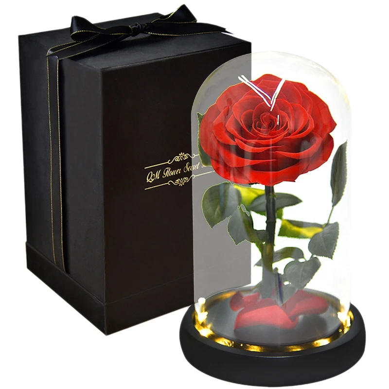 

Rose That Lasts Eternal Forever Preserved Flower in Glass Dome Lamp for Valentine's Mother's Day Gift Box,Red