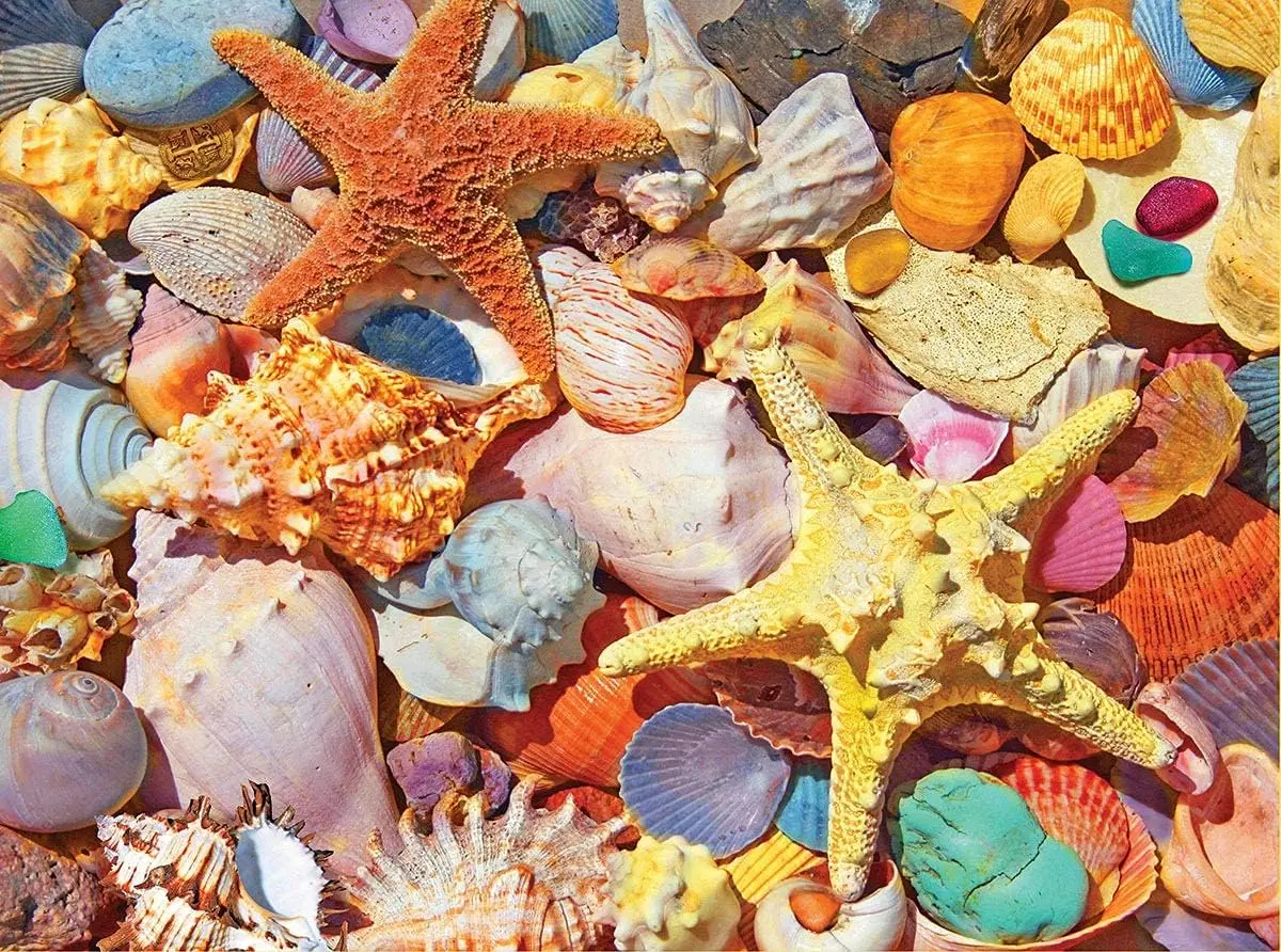 

1000 PCS Jigsaw Puzzles for Adults Summer Ocean Collage Puzzle Perfect for Game Nights Gifts Home Decor