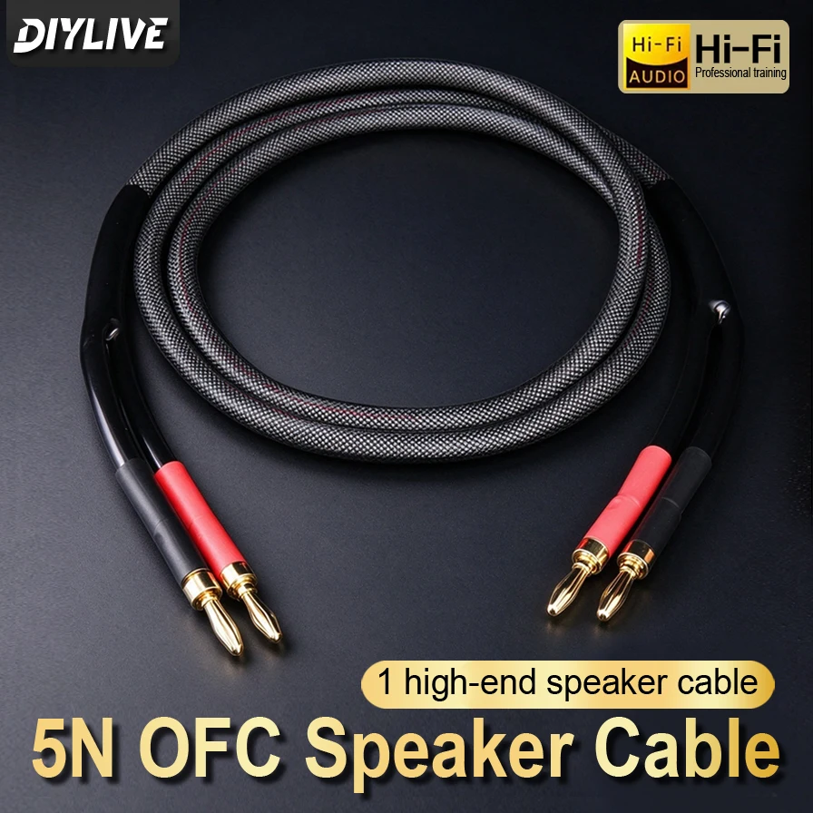 5N High Purity Copper Fever Grade HIFI Speaker Cable Main and Secondary Speakers Surround Power Amplifier Computer Audio Cable