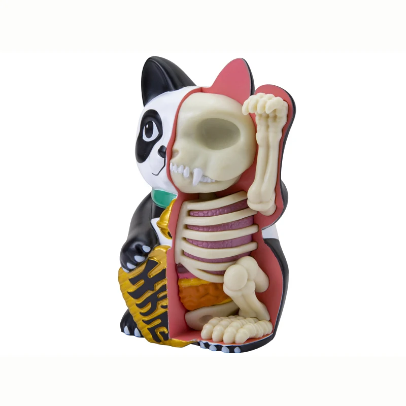 4D Fortune Cat Panda Half Anatomy PVC Statue Collection Model Home Bedroom Decoration Figurines Kid Gifts