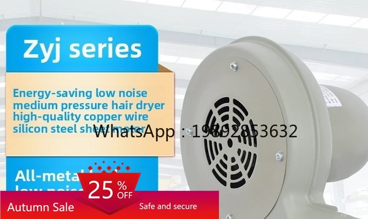 

Detong Fan Industrial Medium Pressure Blower Boiler Induced Fan Canteen Hair Dryer Combustion ZYJD-100