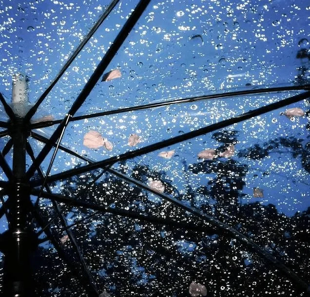 

Автомобильный стартер, пусковое устройство, аккумулятор, внешний аккумулятор 12 В,98000 мАч, Jumpstarter, Auto Buster, аварийный усилитель, автомобильное зарядное устройство, Jump Start