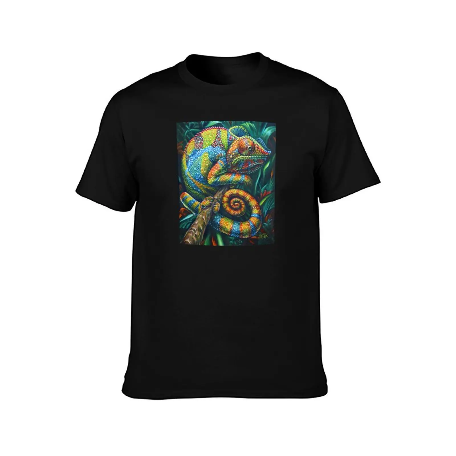 Red, Green, and Gold (and Blue) T-Shirt Lightweight Basic Short Sleeve Shirt T-Shirt