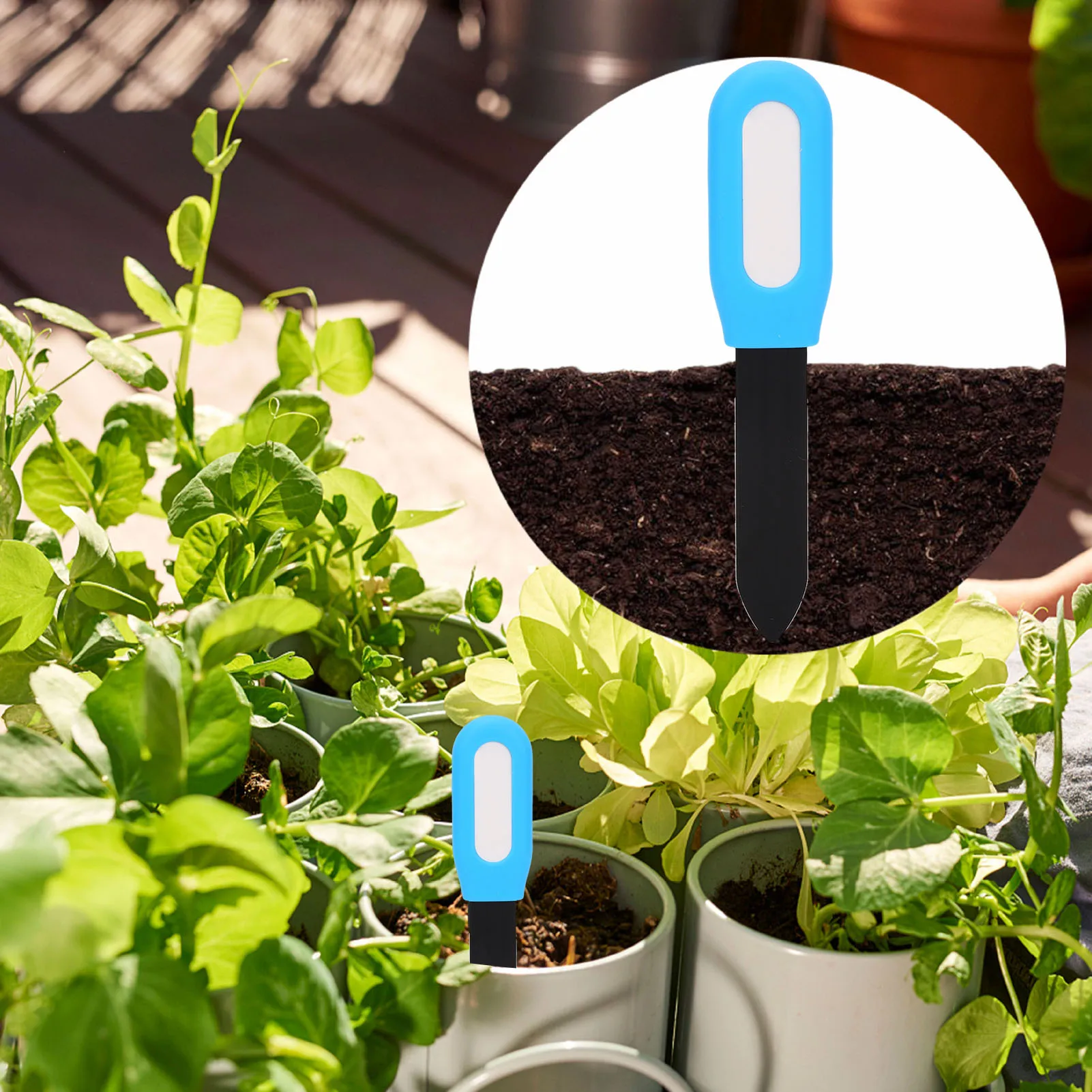 دعم مقياس رطوبة التربة لـ Zigbee2mqtt مستشعر درجة حرارة رطوبة التربة كشف في الوقت الحقيقي مقياس التسجيل التاريخي