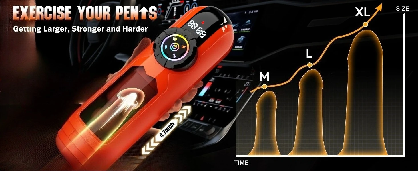 Penile trainer