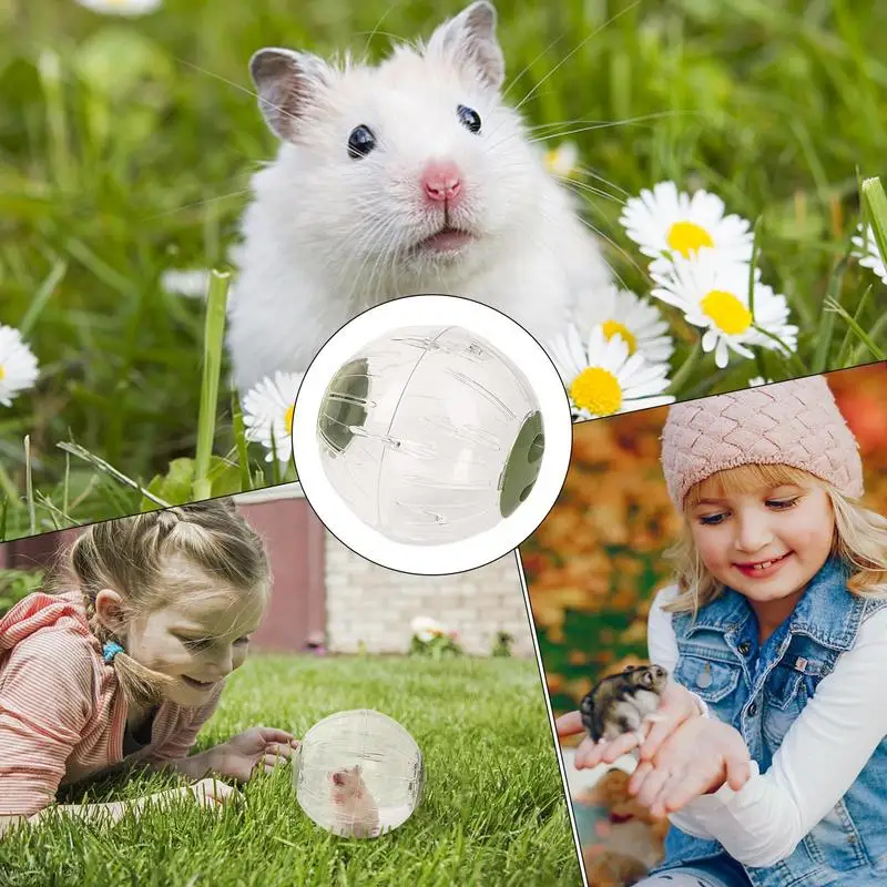 Portátil Quiet Chinchilla Ball, Safe Anão Hamster Bola, Pequenos Animais Jogando Acessórios, Gato e Pet