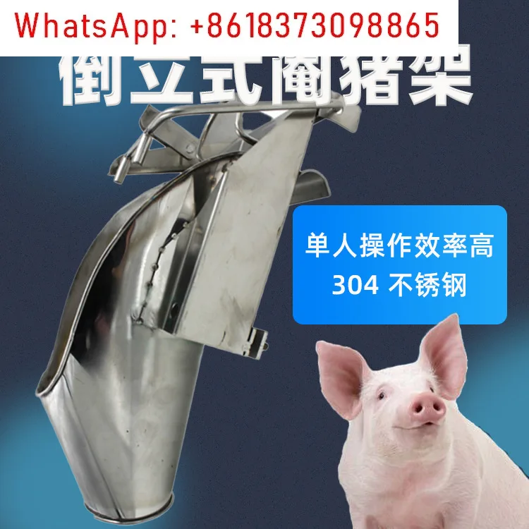 Stainless steel piglet castration rack Durable reinforced