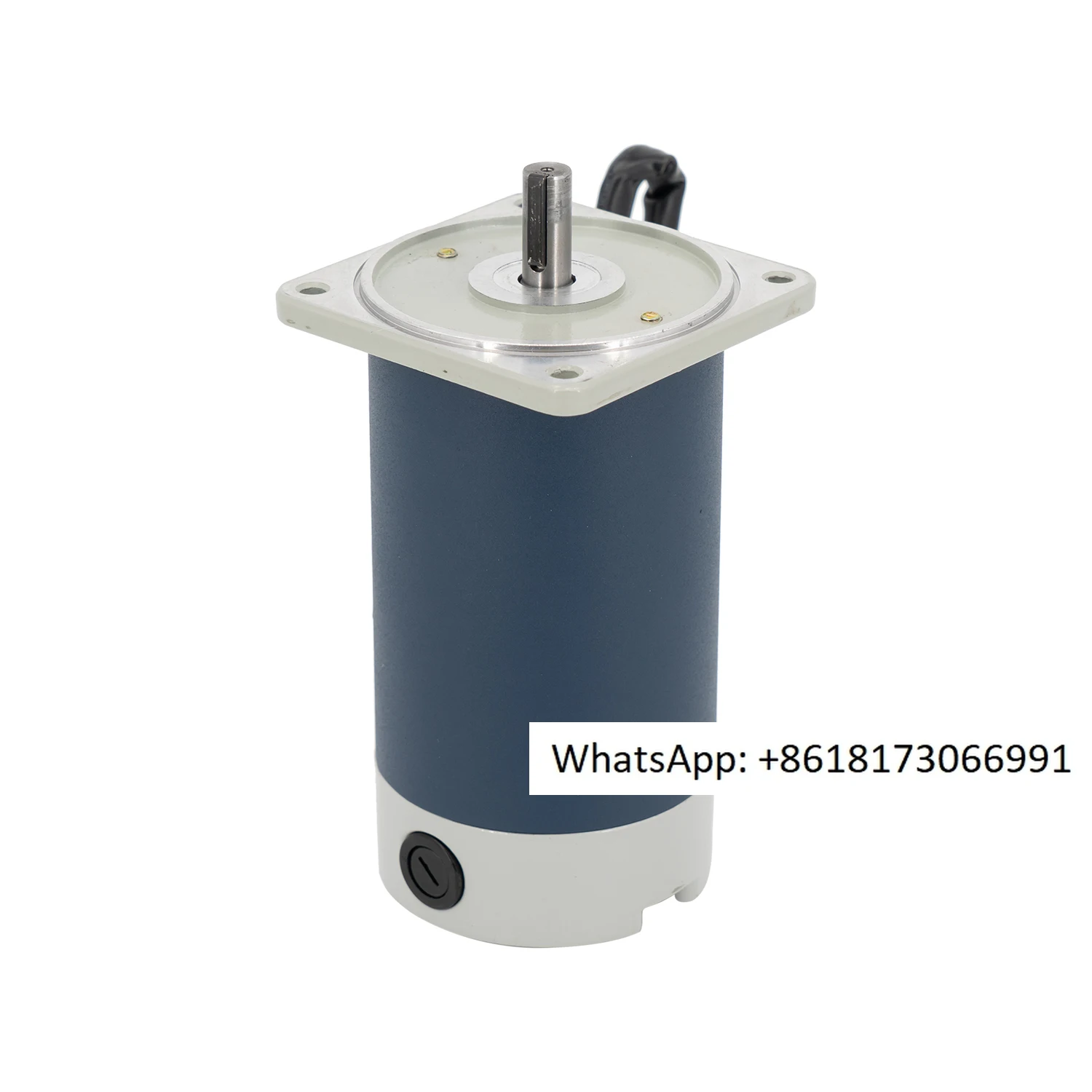 

Permanent Magnet Dc Motor，Electric Geared Motor Zyt 12v 24v