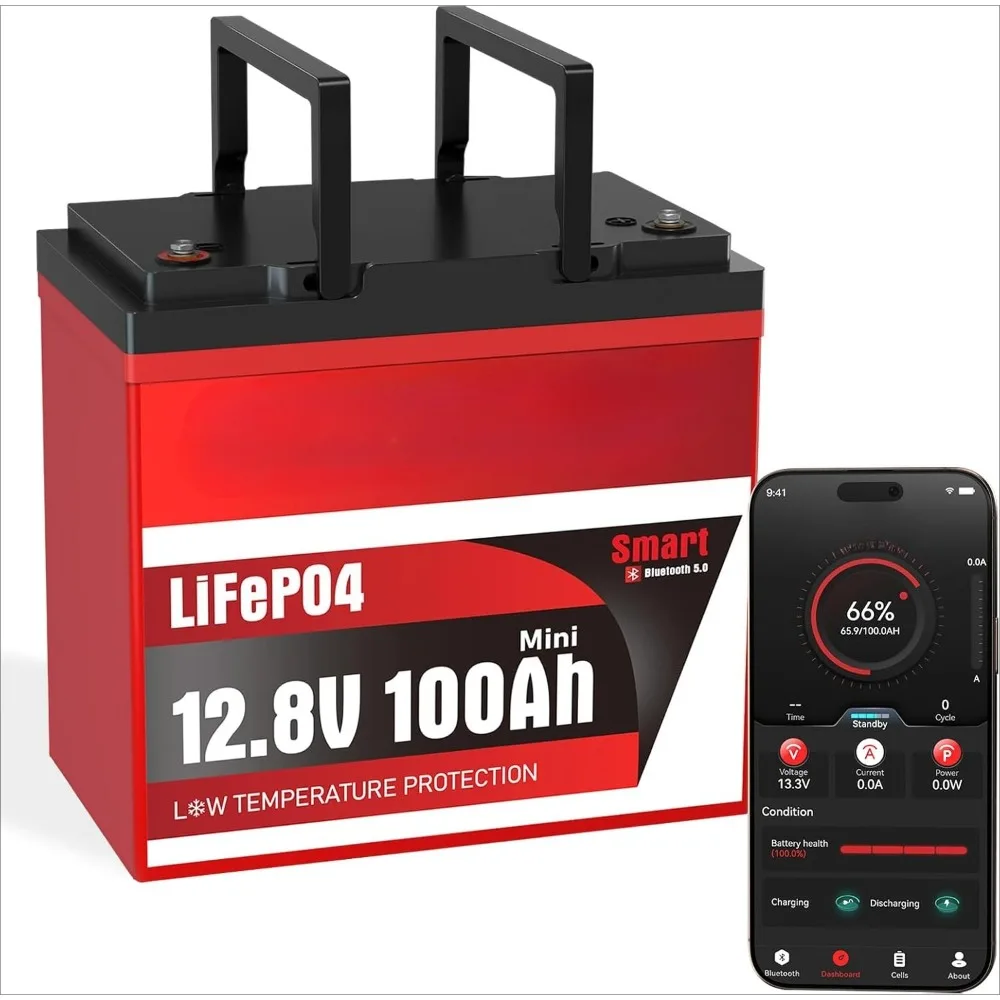 

12 Volt 100Ah Lithium Iron Phosphate Battery - Smart BMS, Bluetooth Monitoring, -7°C Protection