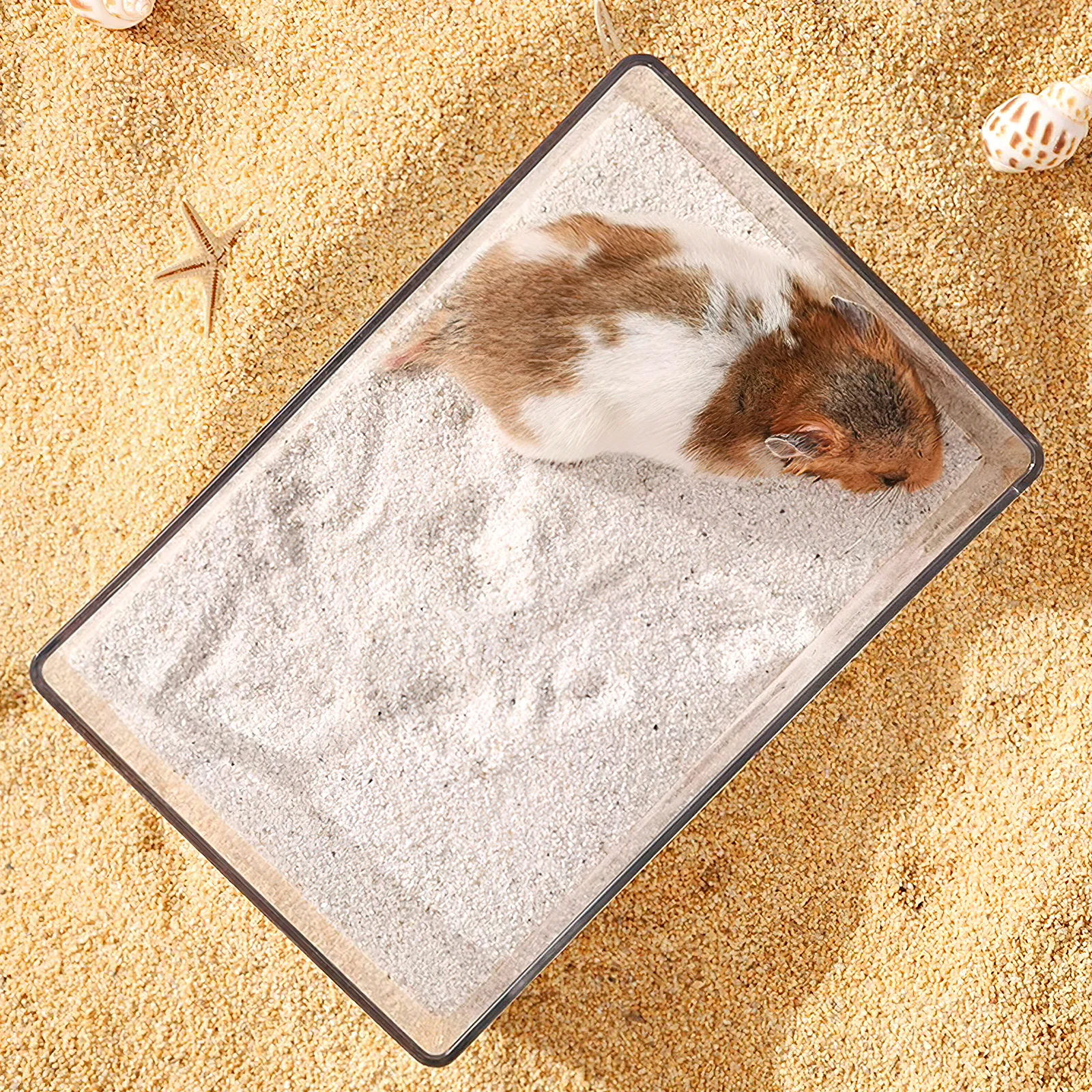 

1pc Sand Bath Box For Small Pets Transparent Hamster Toilet Bathtub Acrylic Dust Bath Container Smooth Edges Pet Litter Pan Play