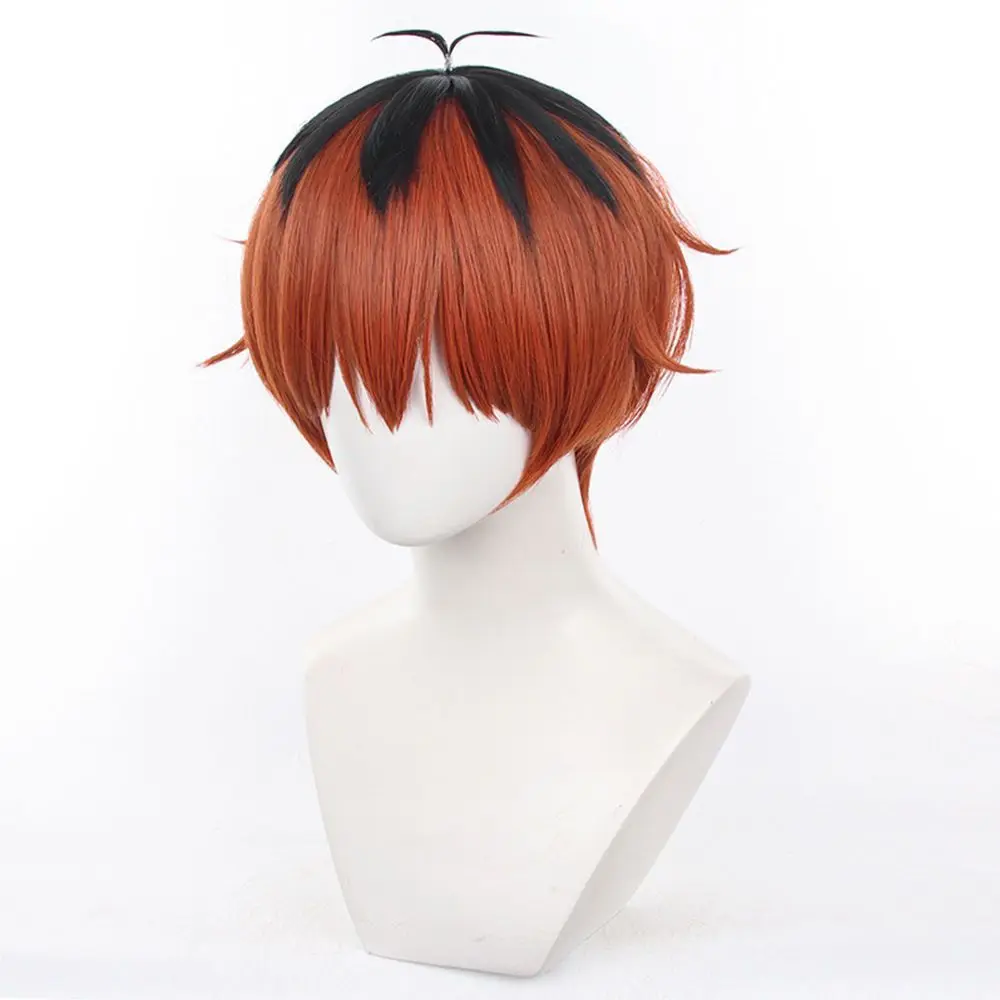 Peluca de cosplay Furion para "Furion" en "Hurtalk" - Mezcla especial de colores, parte superior peluda, parte superior de piel