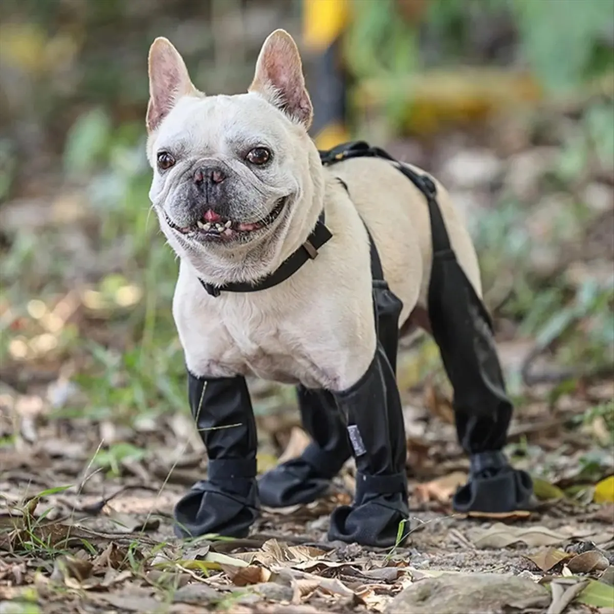 【ABFS】Dog Shoes Waterproof Dirtyproof DogPaw Protectors with Suspenders Non-Slip Dog Rain Booties for Winter Snow Outdoor,M