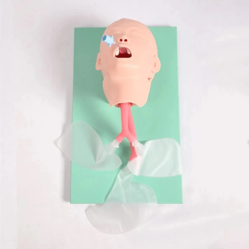 Child Trachea Intubation Training Model，Medical Teaching Model