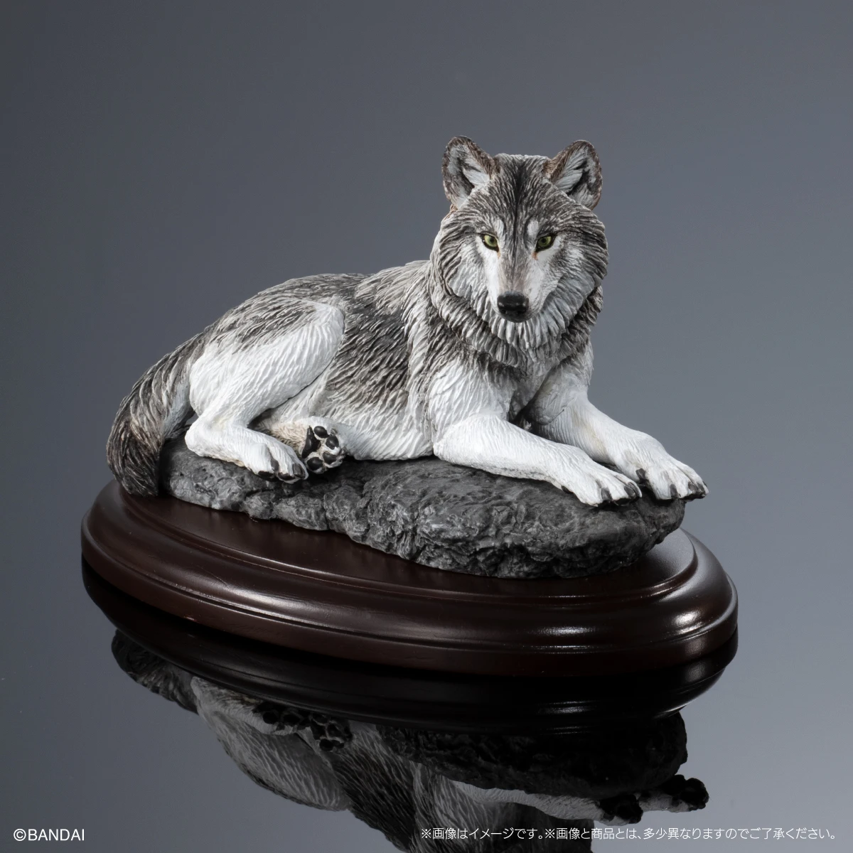 BANDAI Biological Encyclopedia Action Figures Model Canine Shaped Ornaments Wolf Red Fox GASHAPON Official Genuine Ornament