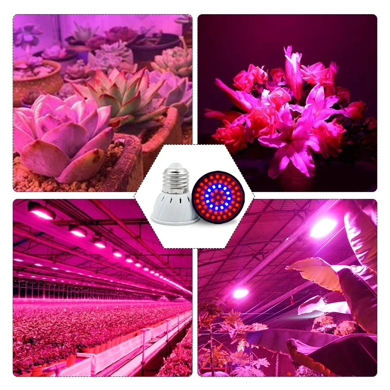 10Pcs LED Grow Light Bulb AC 220V E14 E27 MR16 GU10 Full Spectrum Plant Lamp Red Blue UV IR for Grow Tent Greenhouse Lighting