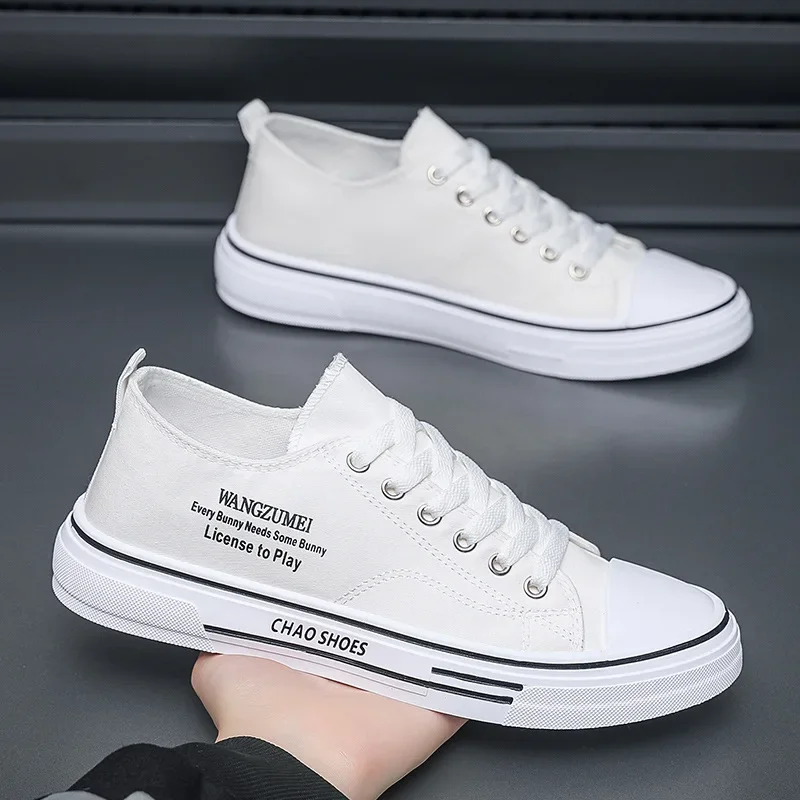 Casual Sportschoenen Voor Heren 2024 Nieuwe Heren Sneakers Lichtgewicht Ademende Canvas Schoenen Heren Flats Tenis Schoenen Zapatillas Hombre