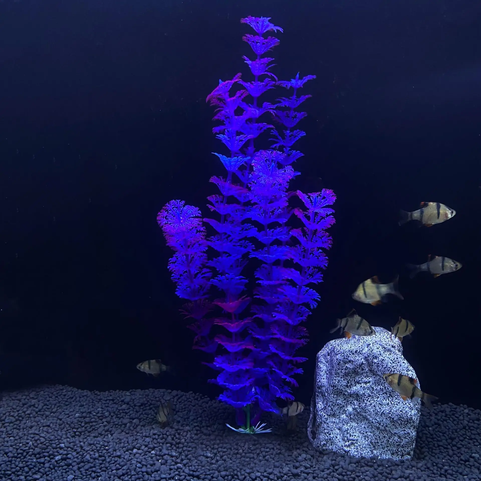 Artificial Underwater Plants for Aquarium, Fish Tank Decoration, Green and Purple Water Grass, Viewing Decorations, New, 30cm