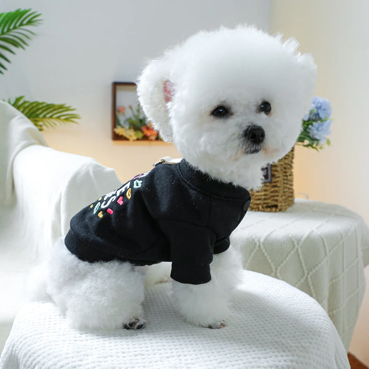 1PC Pet Clothing Spring and Autumn Black Kiss Coat Suitable for Small and Medium sized Dogs